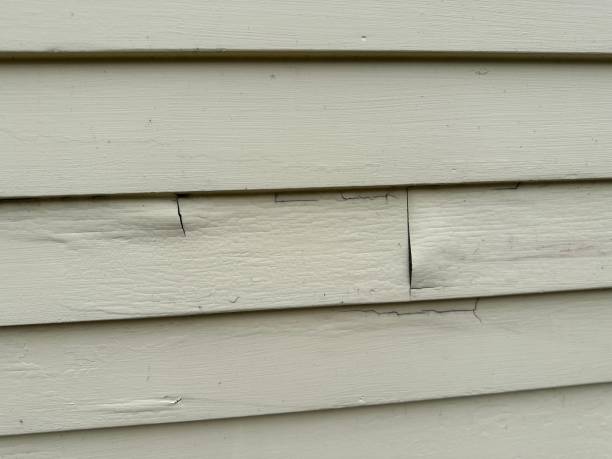 Best Shed Removal  in Algonac, MI
